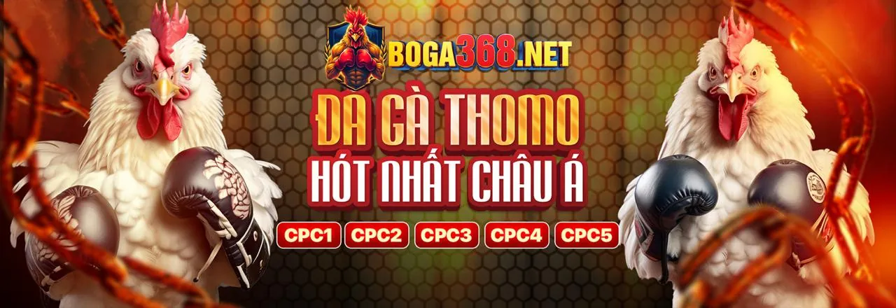 Đá gà trực tuyến sôi động tại Xổ Số 66