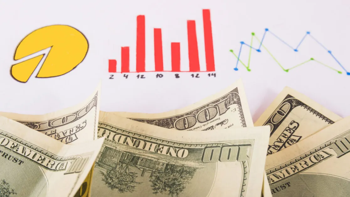 Quan sát chiến kê trước trận đấu đá gà